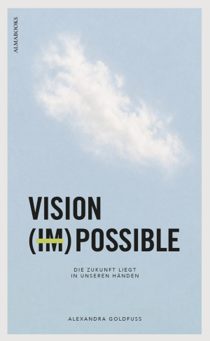 VISION (IM)POSSIBLE – E-Book