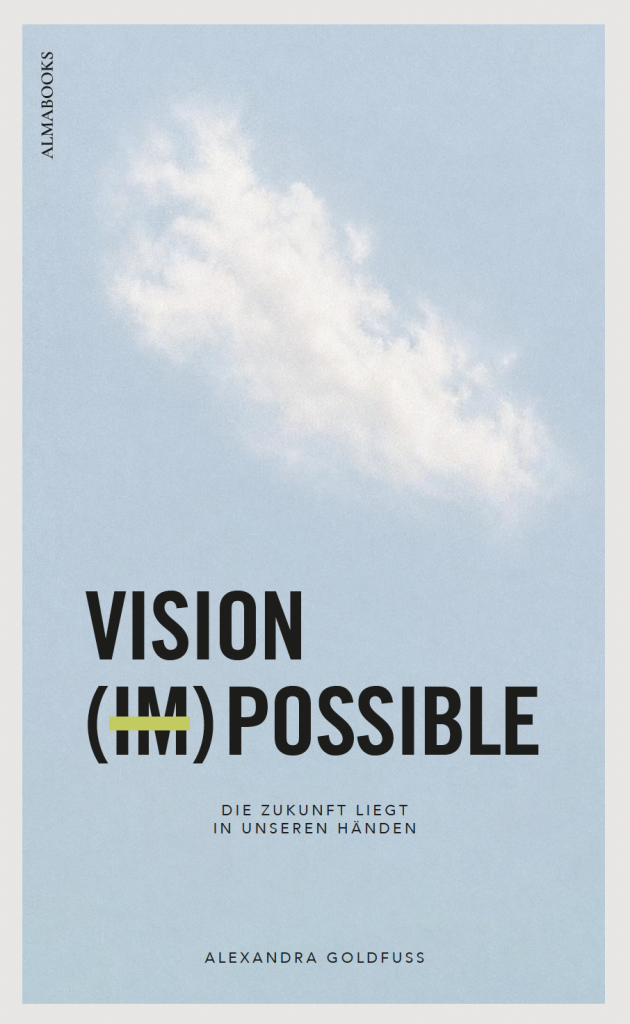VISION (IM)POSSIBLE – E-Book