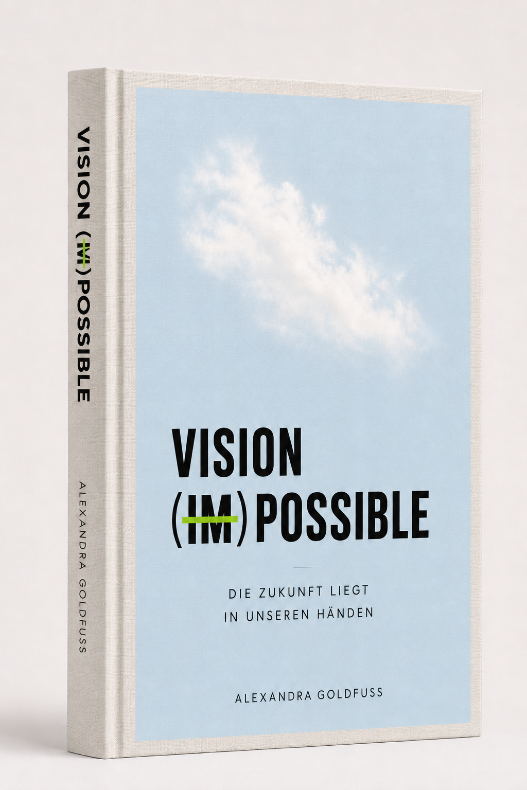 Buchcover VISION (IM)POSSIBLE von Alexandra Goldfuss