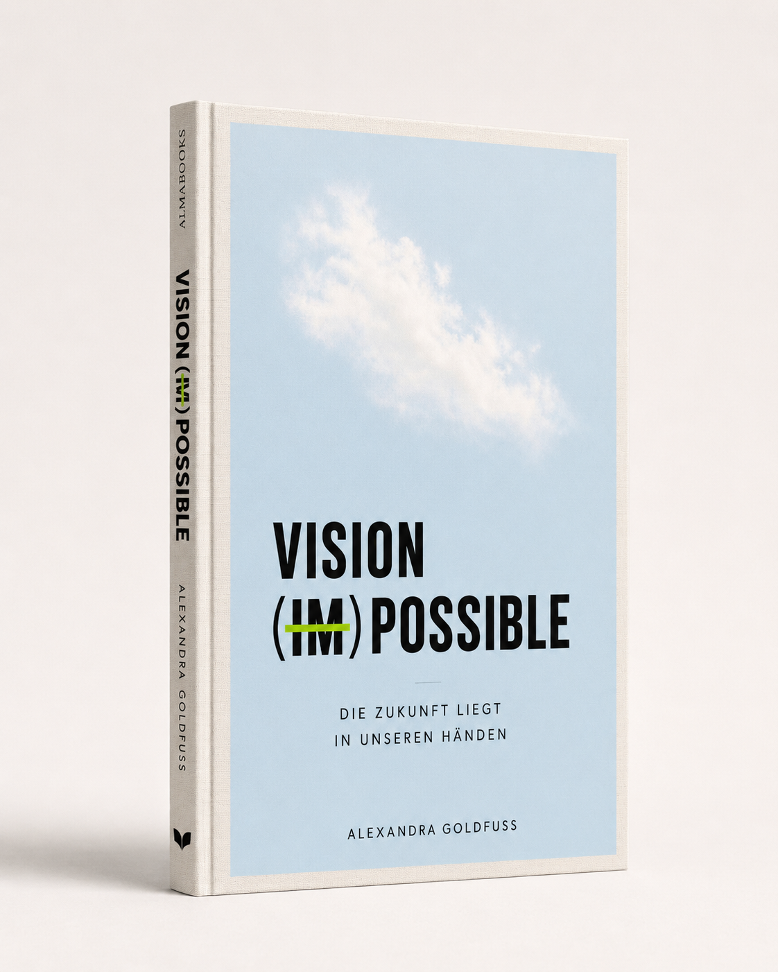 Buchcover VISION (IM)POSSIBLE von Alexandra Goldfuss